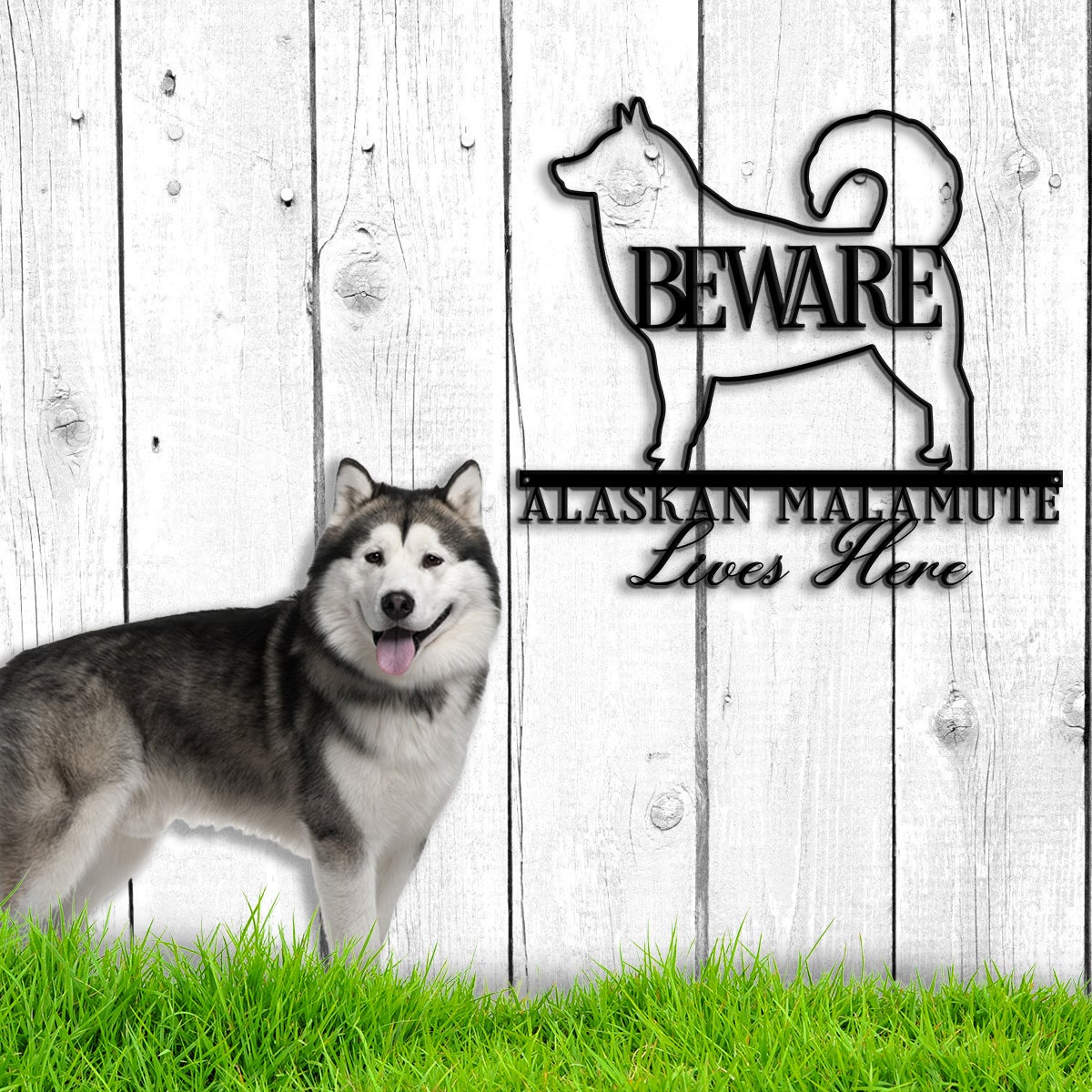 Beware Alaskan Malamute Lives Here Dog House Sign Metal Wall Art