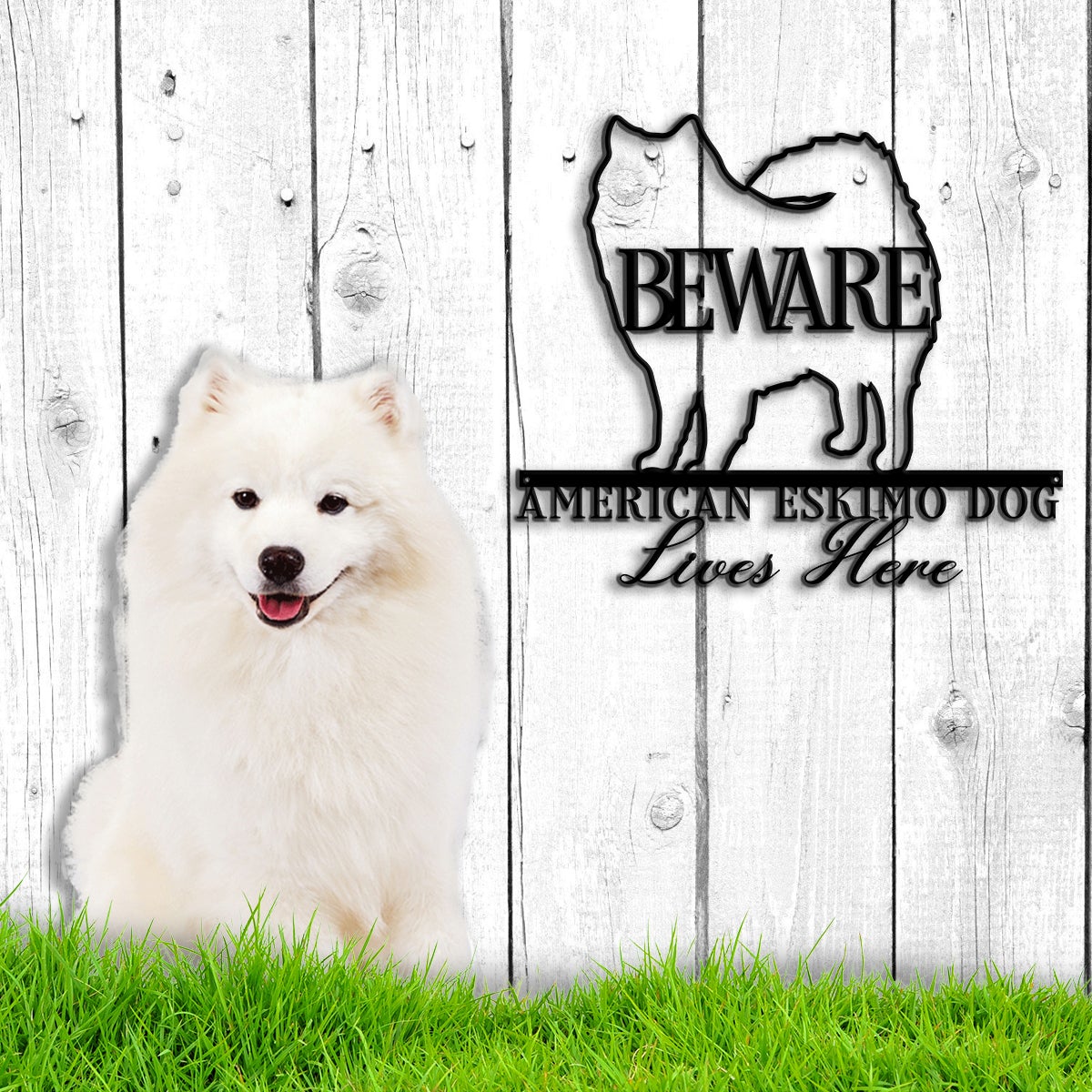 Beware American Eskimo Dog Lives Here Dog House Sign Metal Wall Art