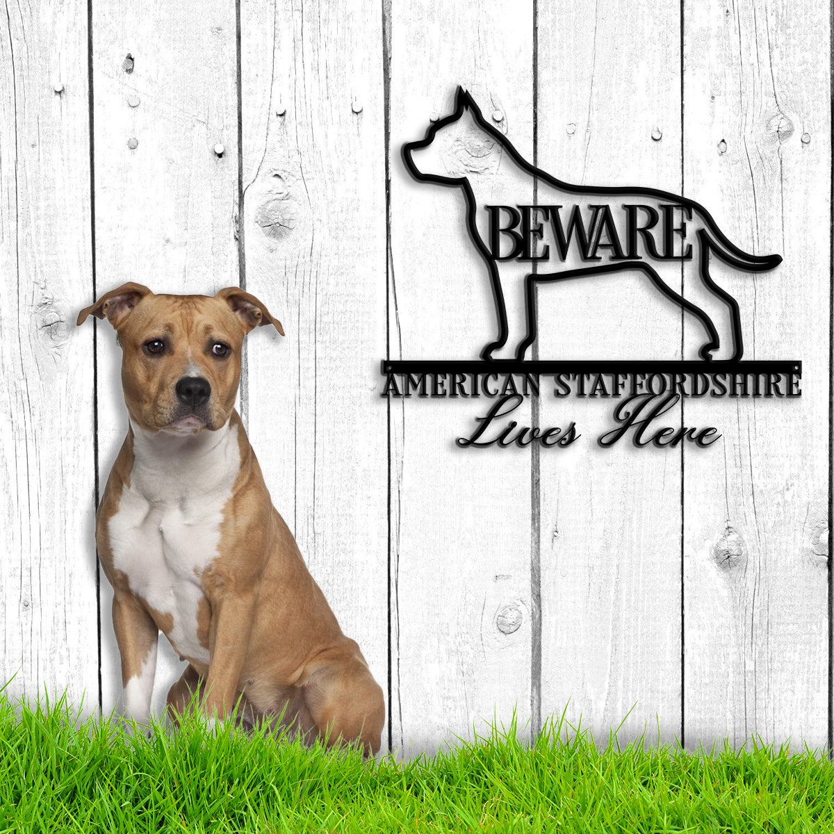 Beware American Staffordshire Lives Here Metal Wall Art
