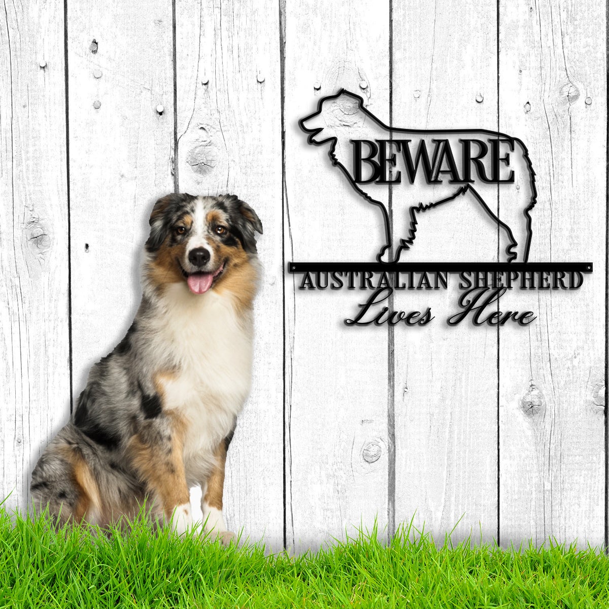 Beware Australian Shepherd Lives Here Metal Wall Art