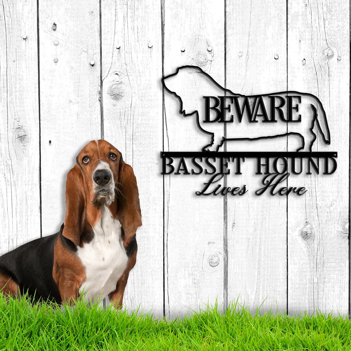 Beware Bassethound Lives Here Metal Wall Art