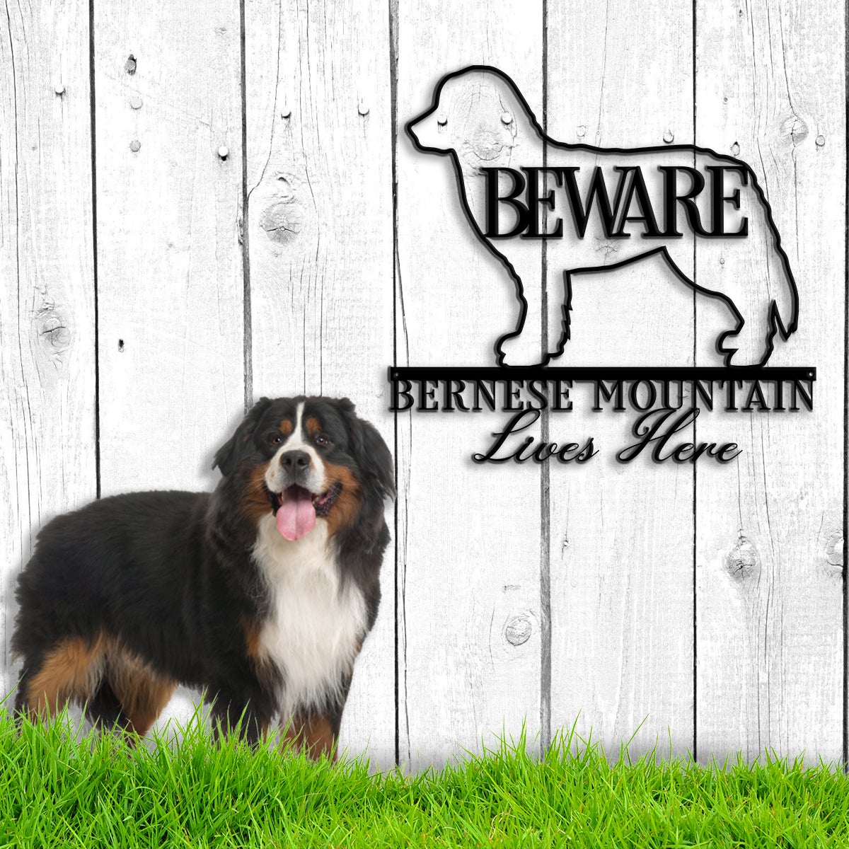 Beware Bernese Mountain Lives Here Metal Wall Art