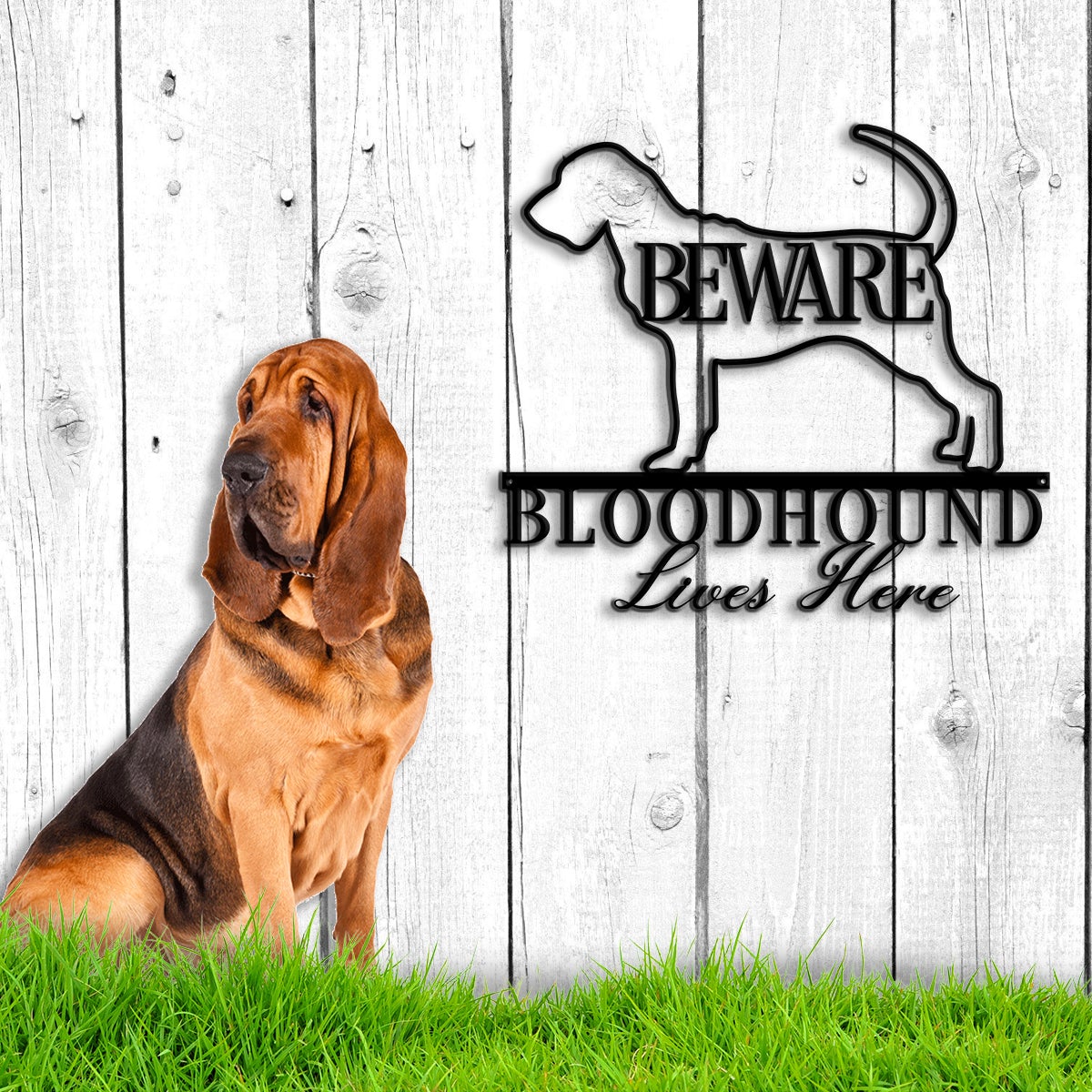 Beware Bloodhound Lives Here Metal Wall Art