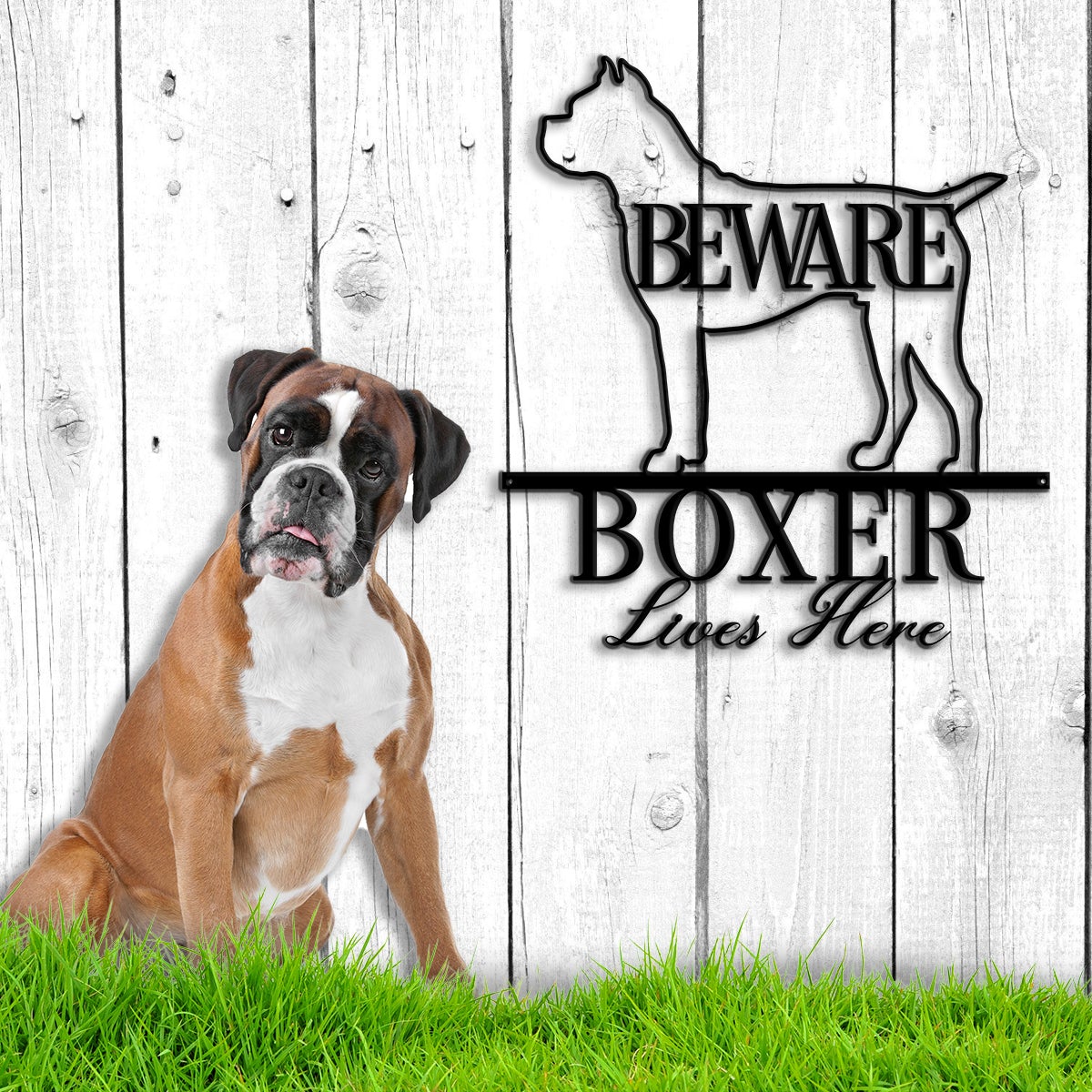 Beware Boxer Lives Here Metal Wall Art