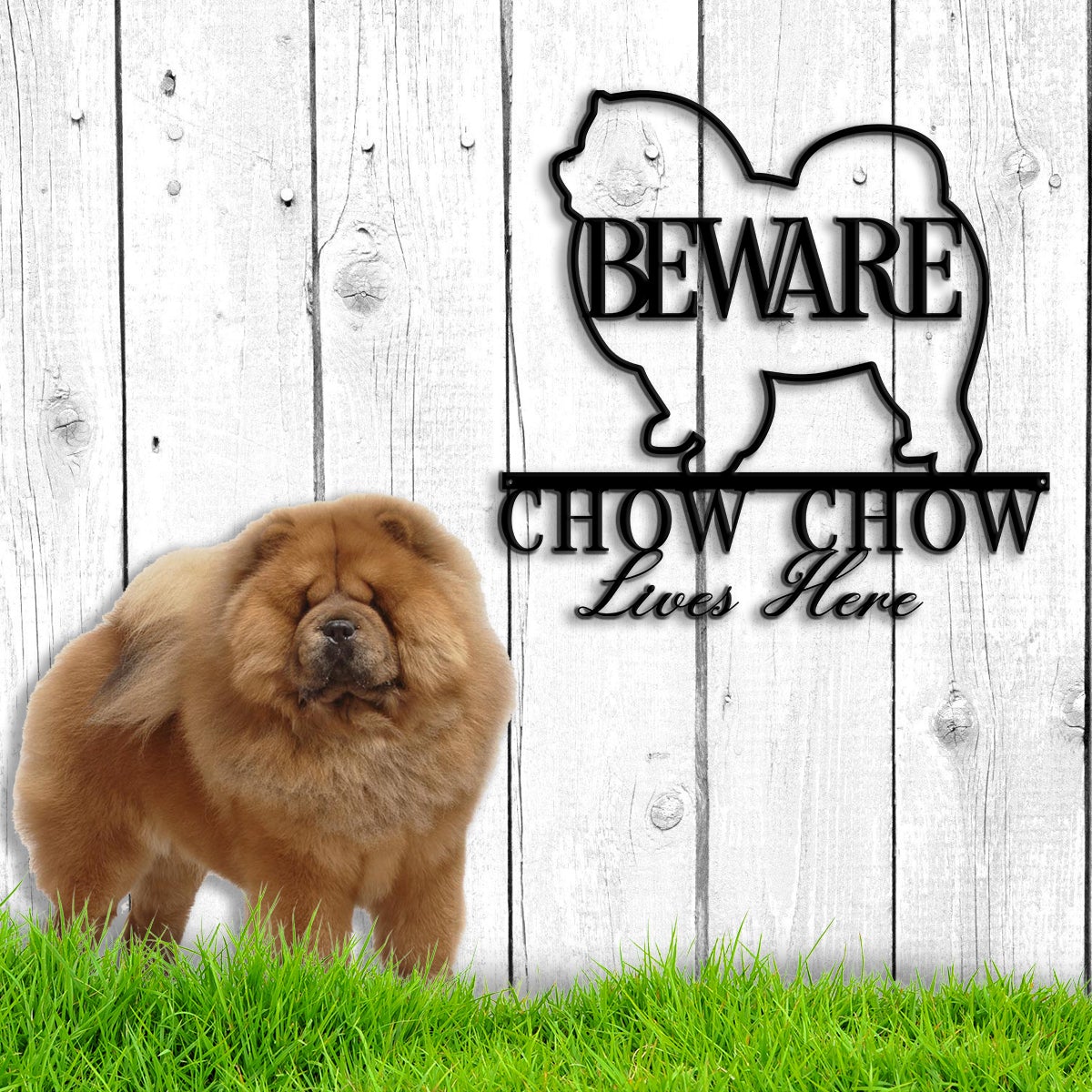 Beware Chow Chow Lives Here Metal Wall Art
