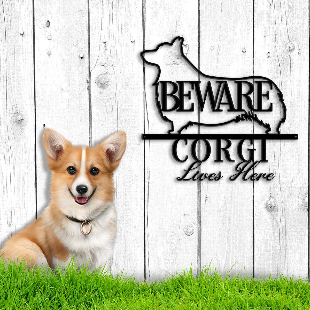 Beware Corgi Lives Here Metal Wall Art