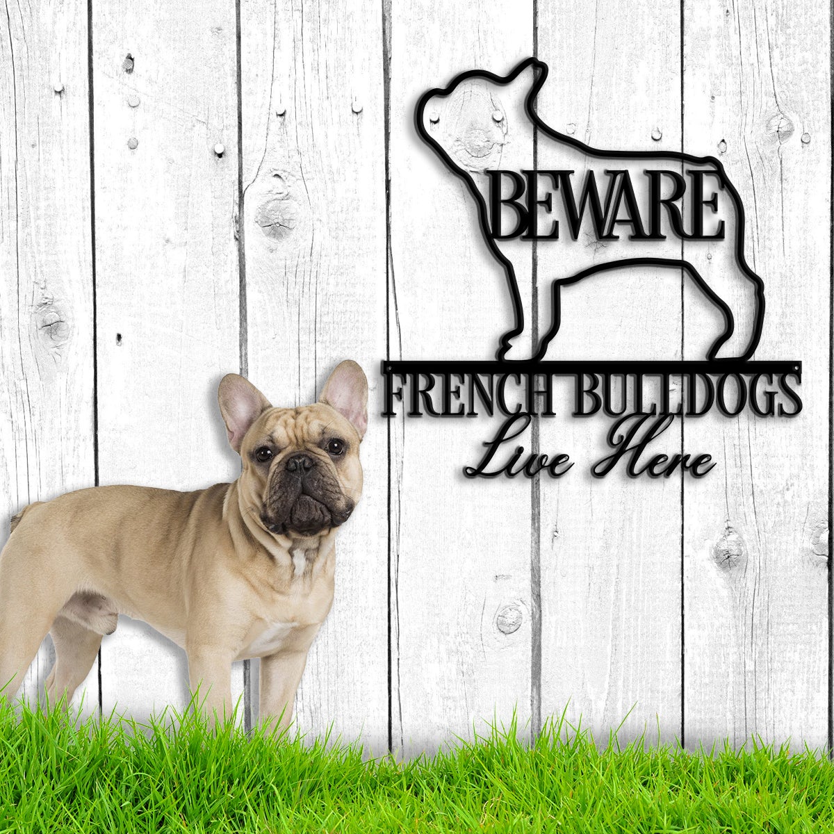 Beware French Bulldog Live Here Dog House Sign Metal Wall Art