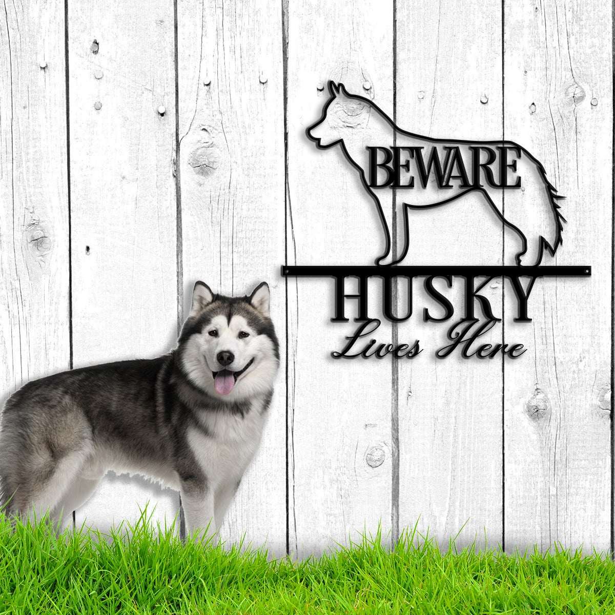 Beware Husky Lives Here Metal Wall Art