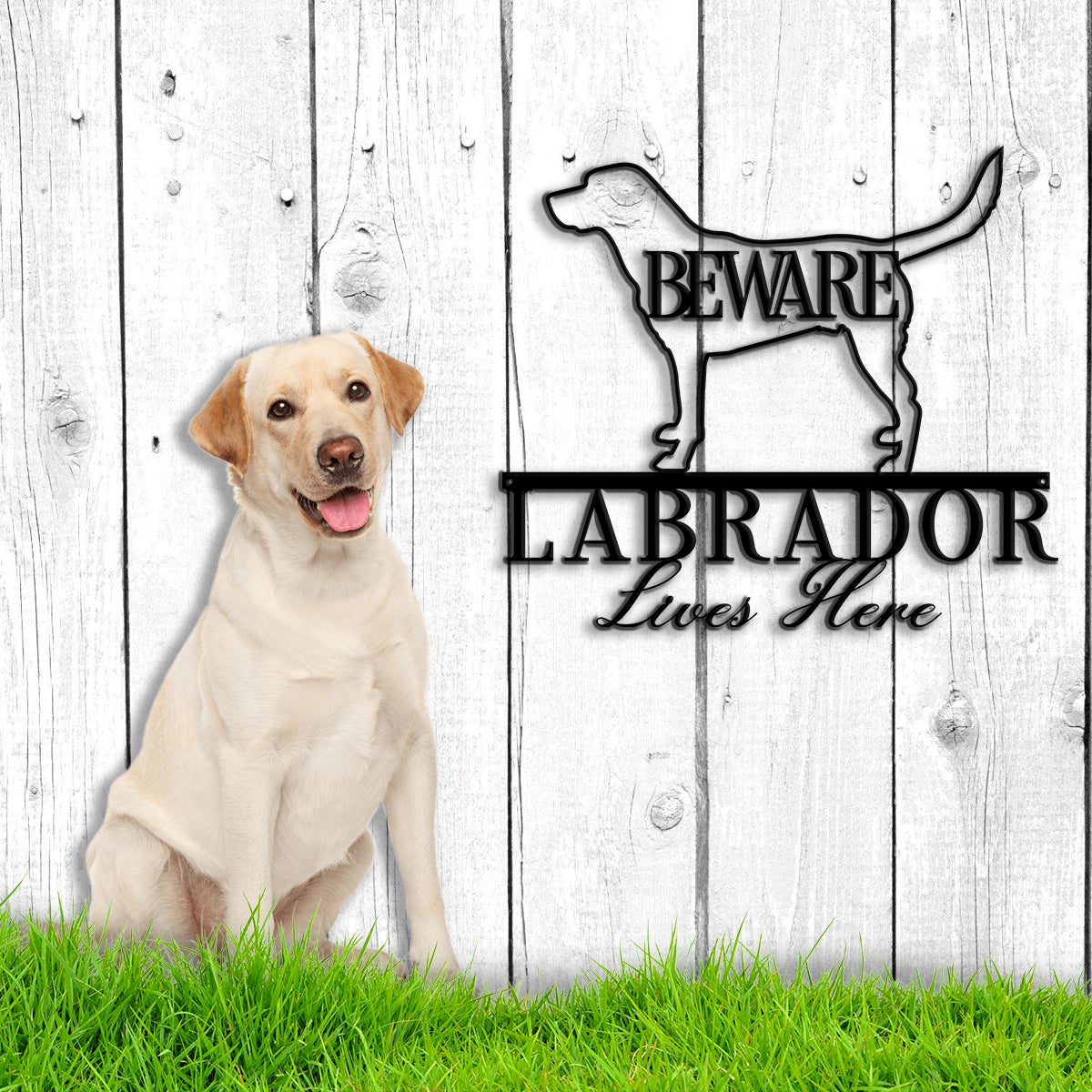 Beware Labrador Lives Here Metal Wall Art