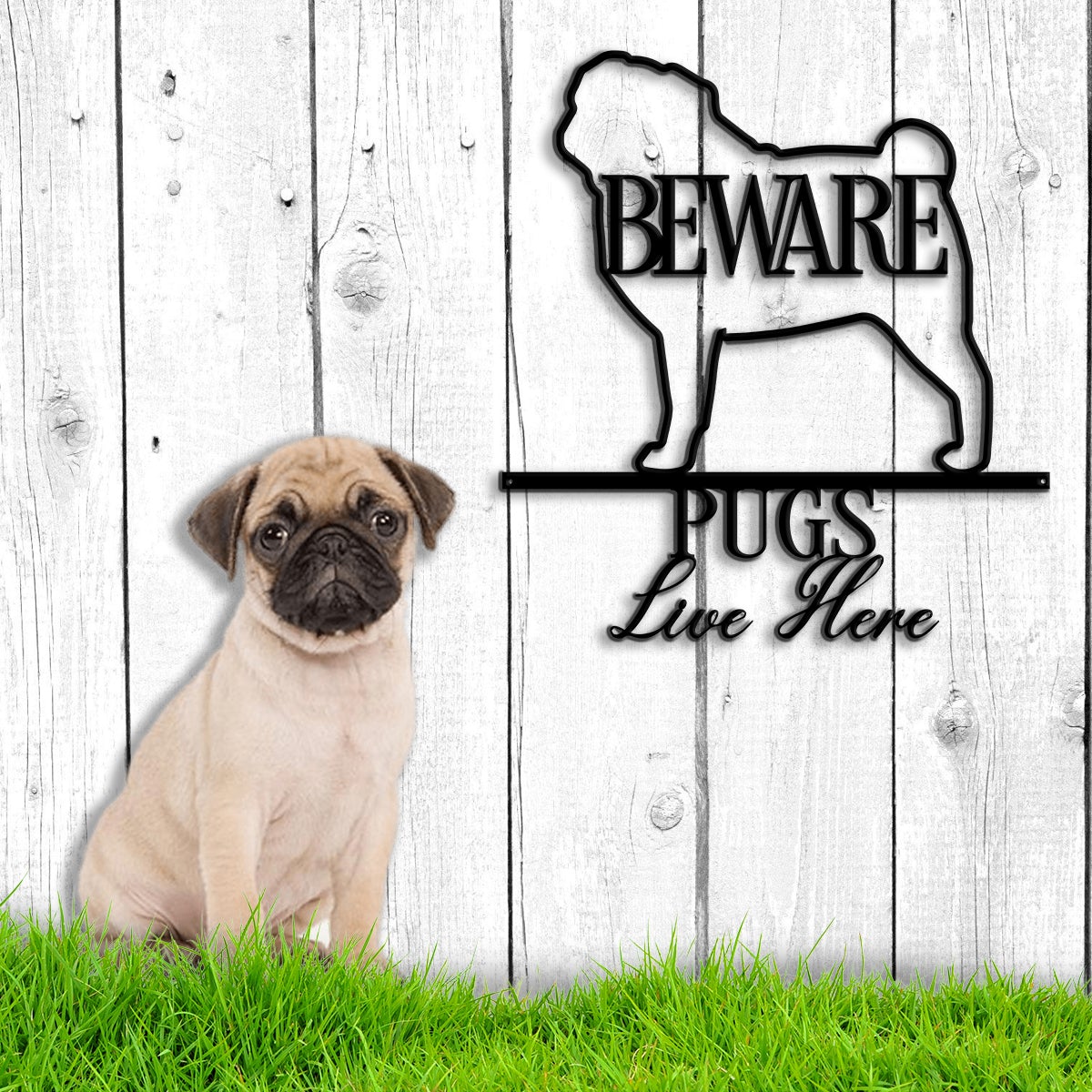 Beware Pug Live Here Metal Wall Art