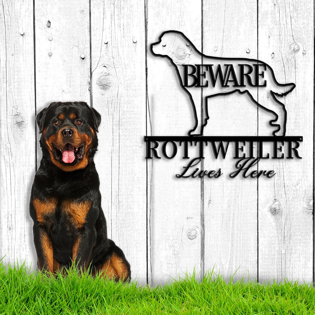 Beware Rottweiller Lives Here Metal Wall Art