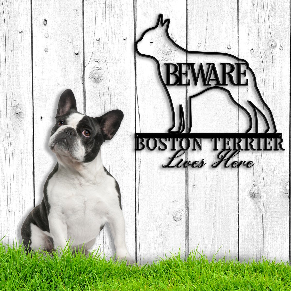 Beware Boston Terrier Bone Dog Dog House Sign Metal Wall Art