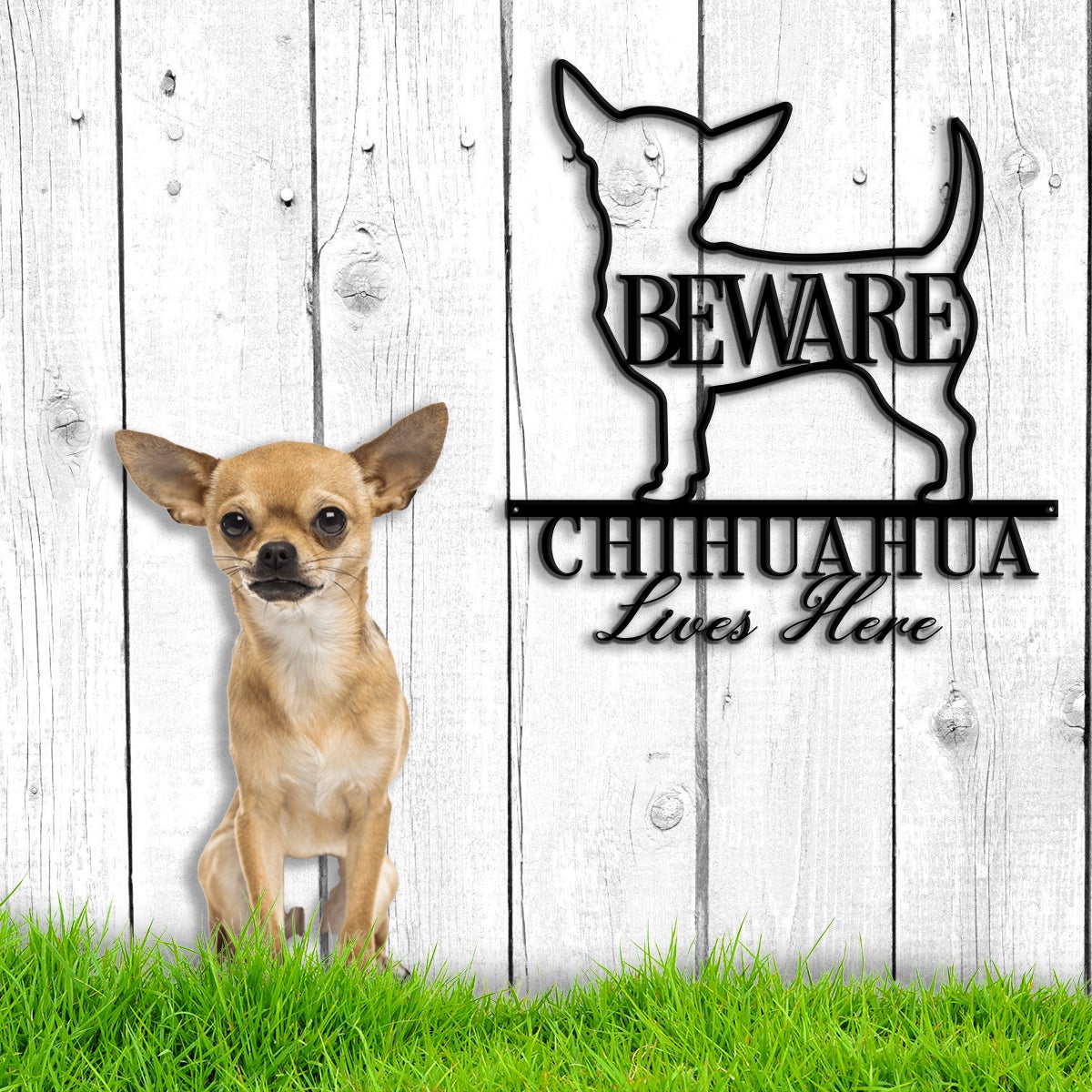 Beware Chihuahua Bone Dog Dog House Sign Metal Wall Art