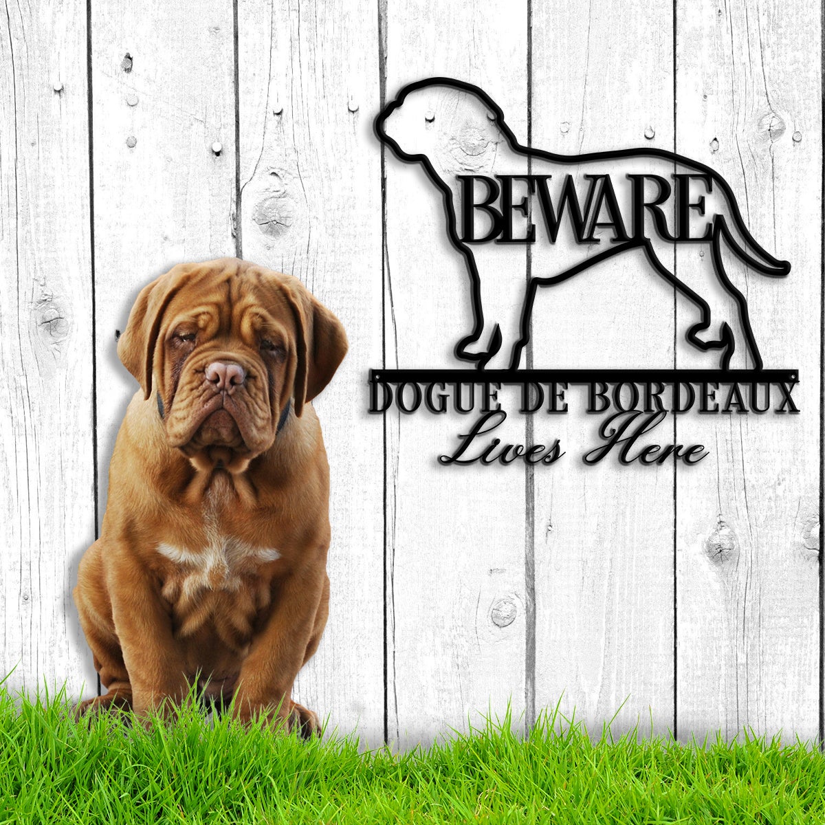 Beware Dogue De Bordeaux Bone Dog Dog House Sign Metal Wall Art