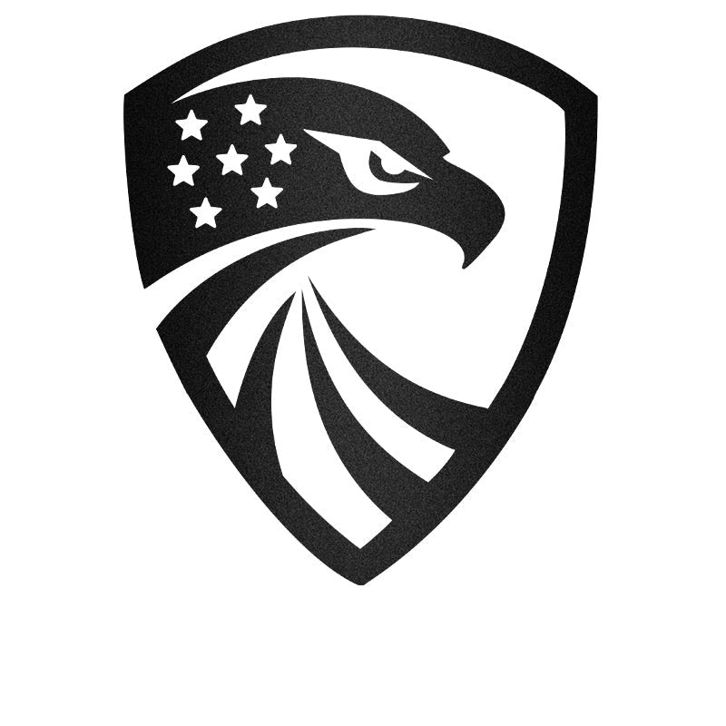 American Eagle Shield Independence Day Metal Wall Art Decor