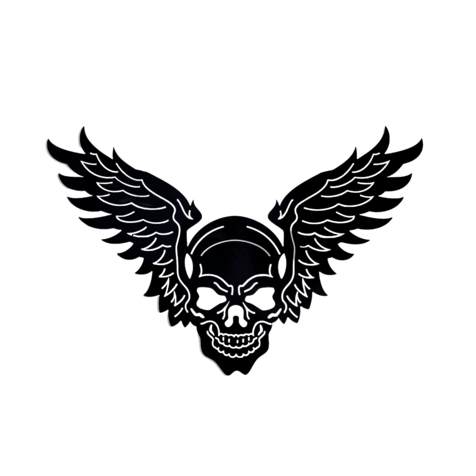 Dark Eagle Wings Skull Skeleton Skull Metal Wall Art